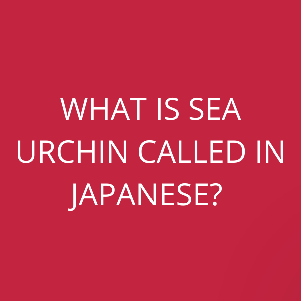 What is Sea Urchin called in Japanese?