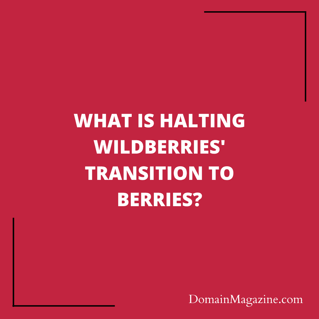 What is halting Wildberries’ transition to Berries?