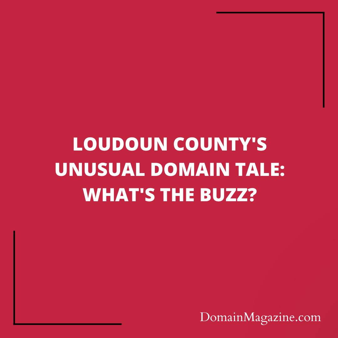 Loudoun County’s Unusual Domain Tale: What’s the Buzz?